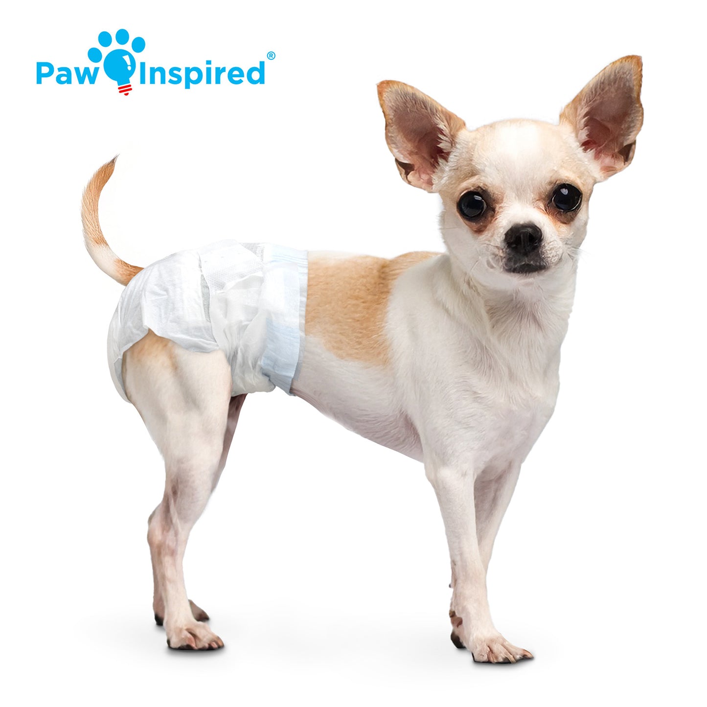Disposable Dog Diapers