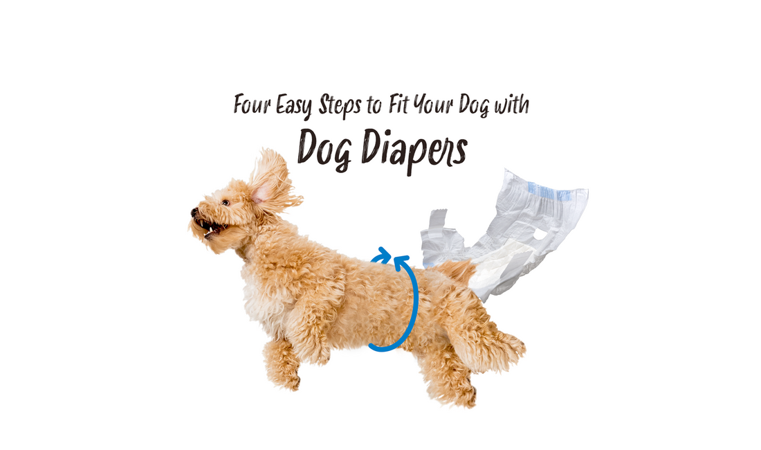 Four Easy Steps to Fit Your Dog with Dog Diapers