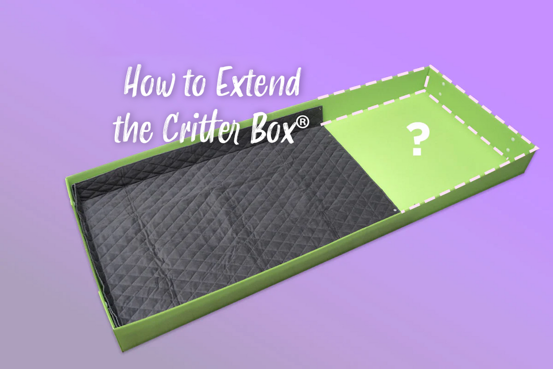 How to Extend the Critter Box®