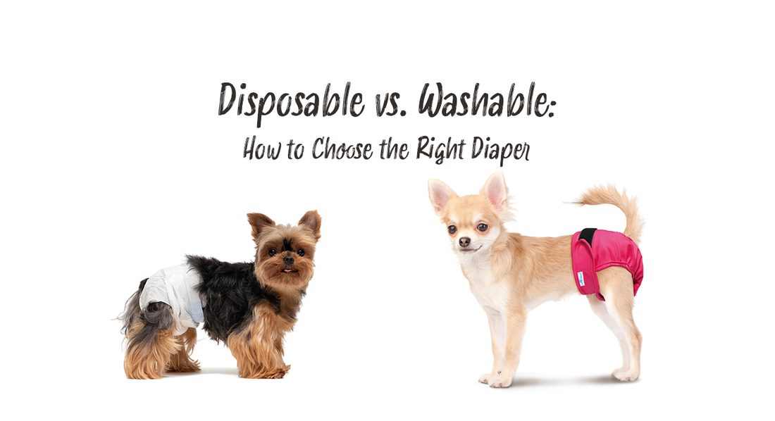 Disposable vs. Washable: How to Choose the Right Diaper for Your Pet