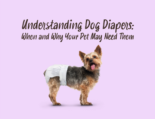 Understanding Dog Diapers: When and Why Your Pet May Need Them