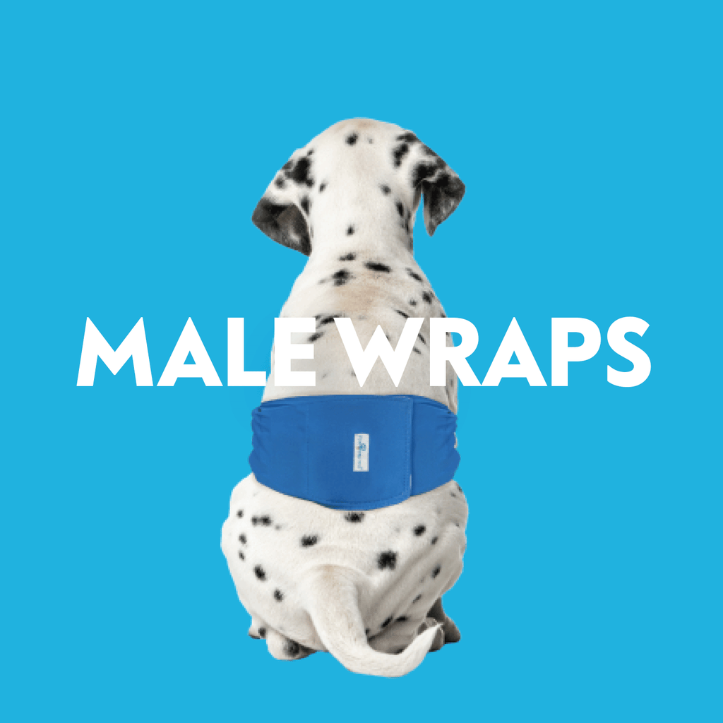 Male Wraps