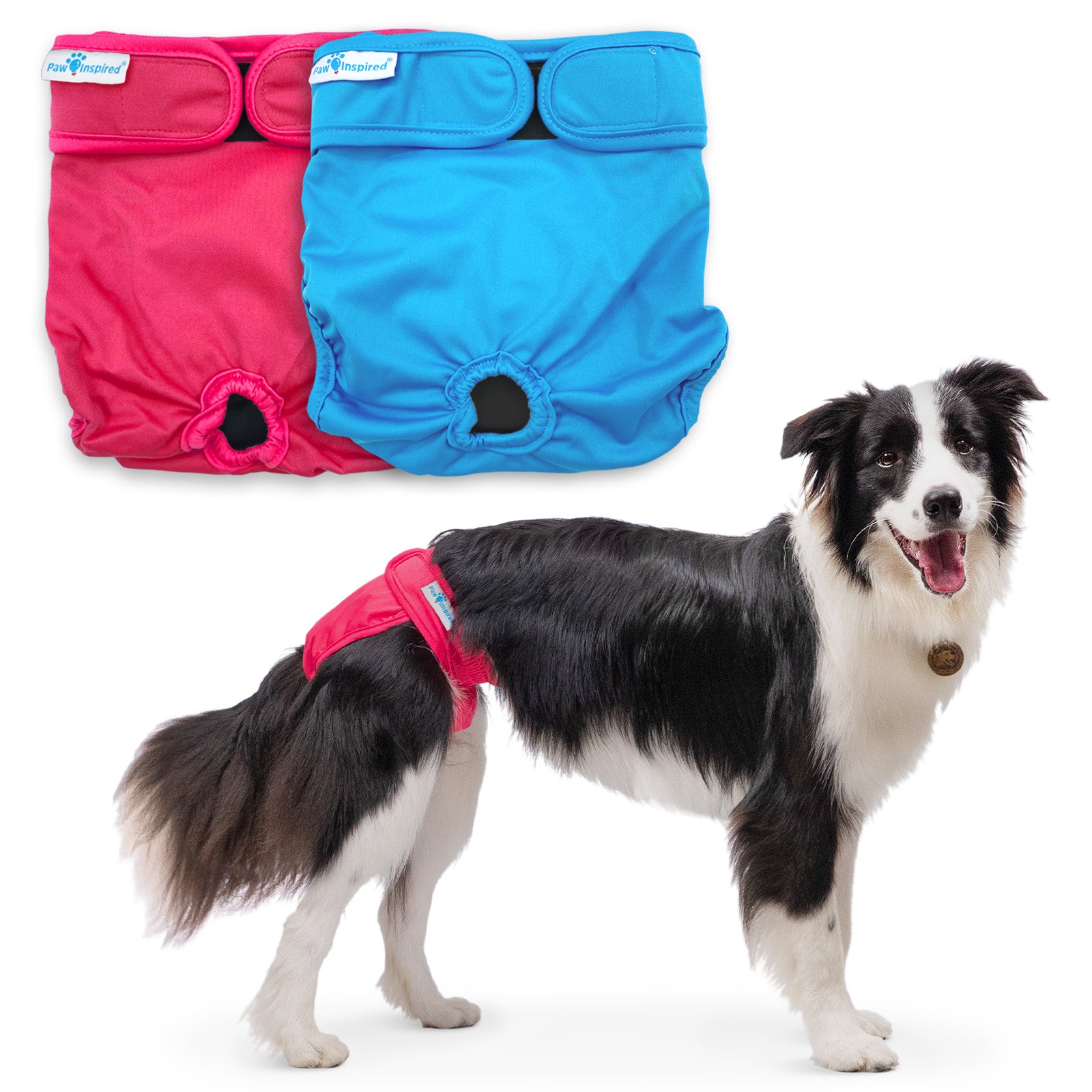 Paw inspired dog diapers best sale