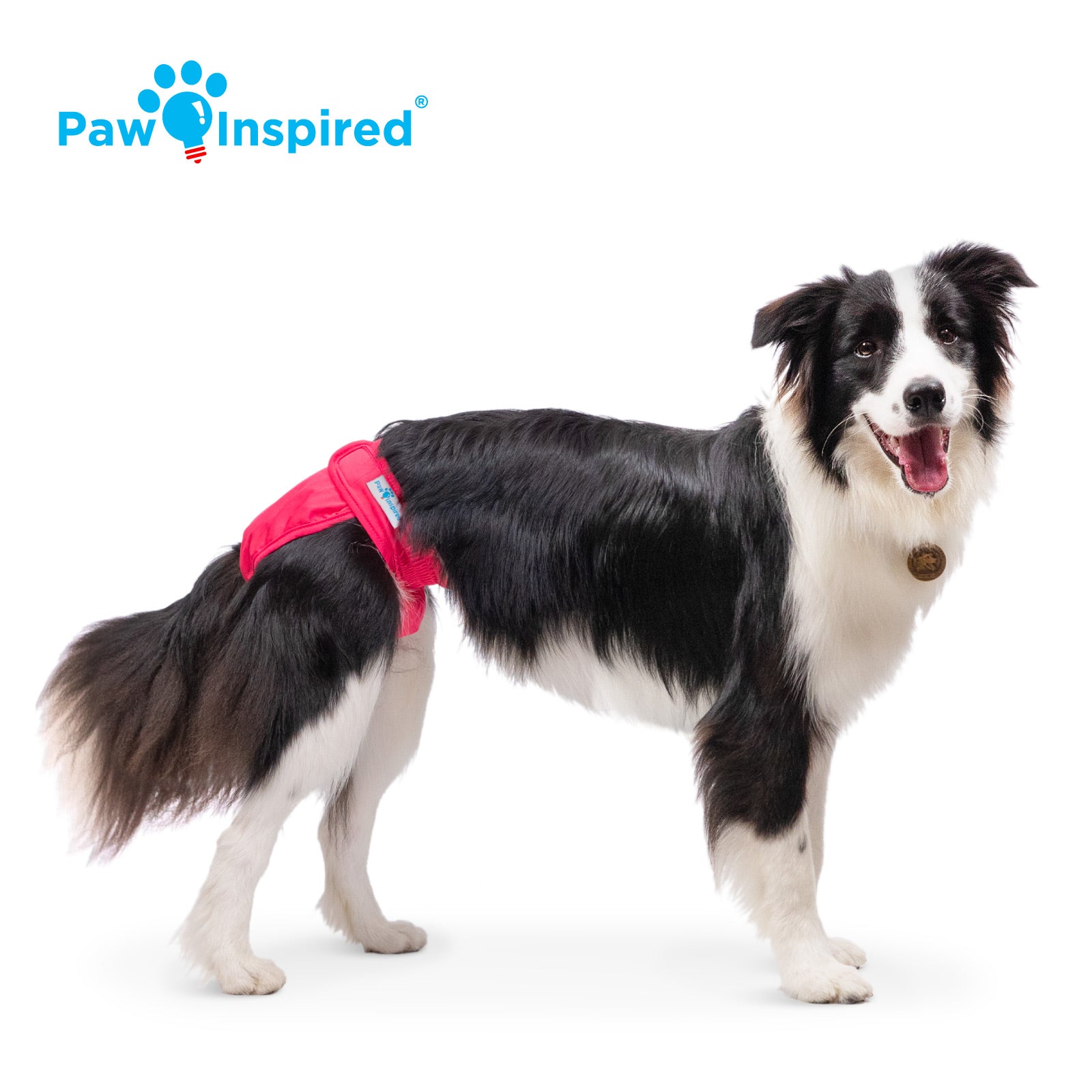 Paw paw reusable diapers price shops