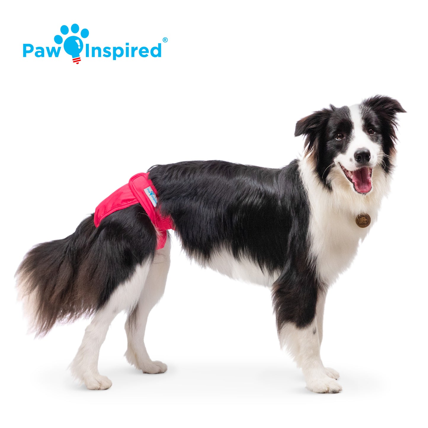 Washable Dog Diapers