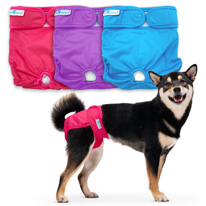 Washable Dog Diapers