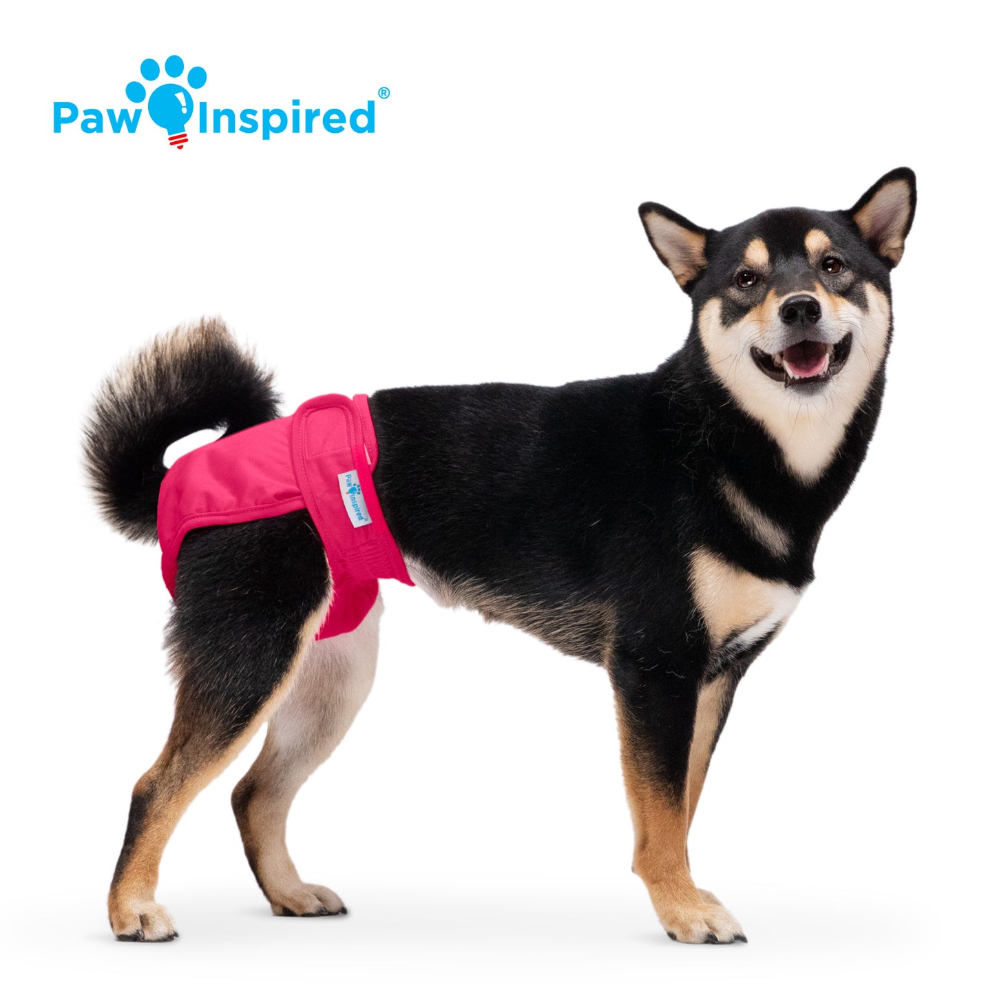 Washable Dog Diapers