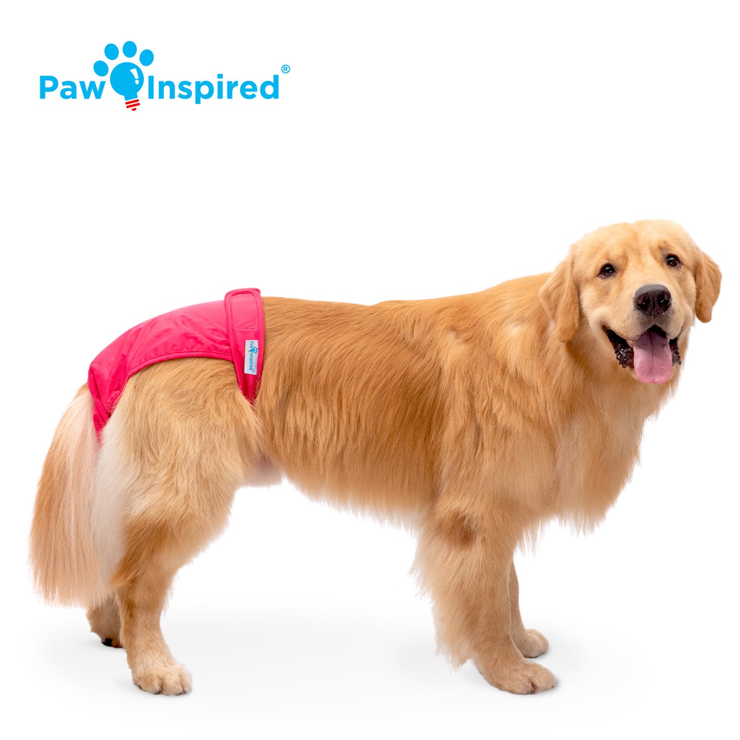 Washable Dog Diapers