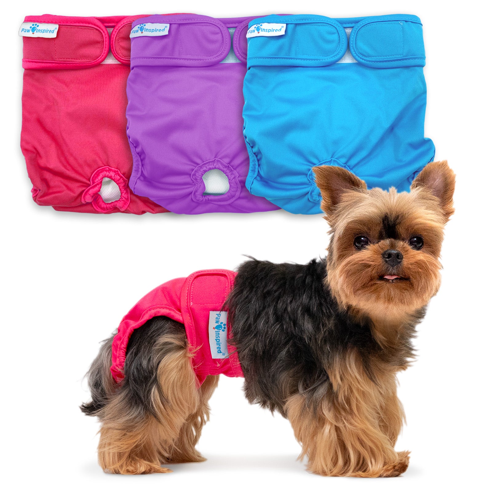 Washable Dog Diapers Paw Inspired