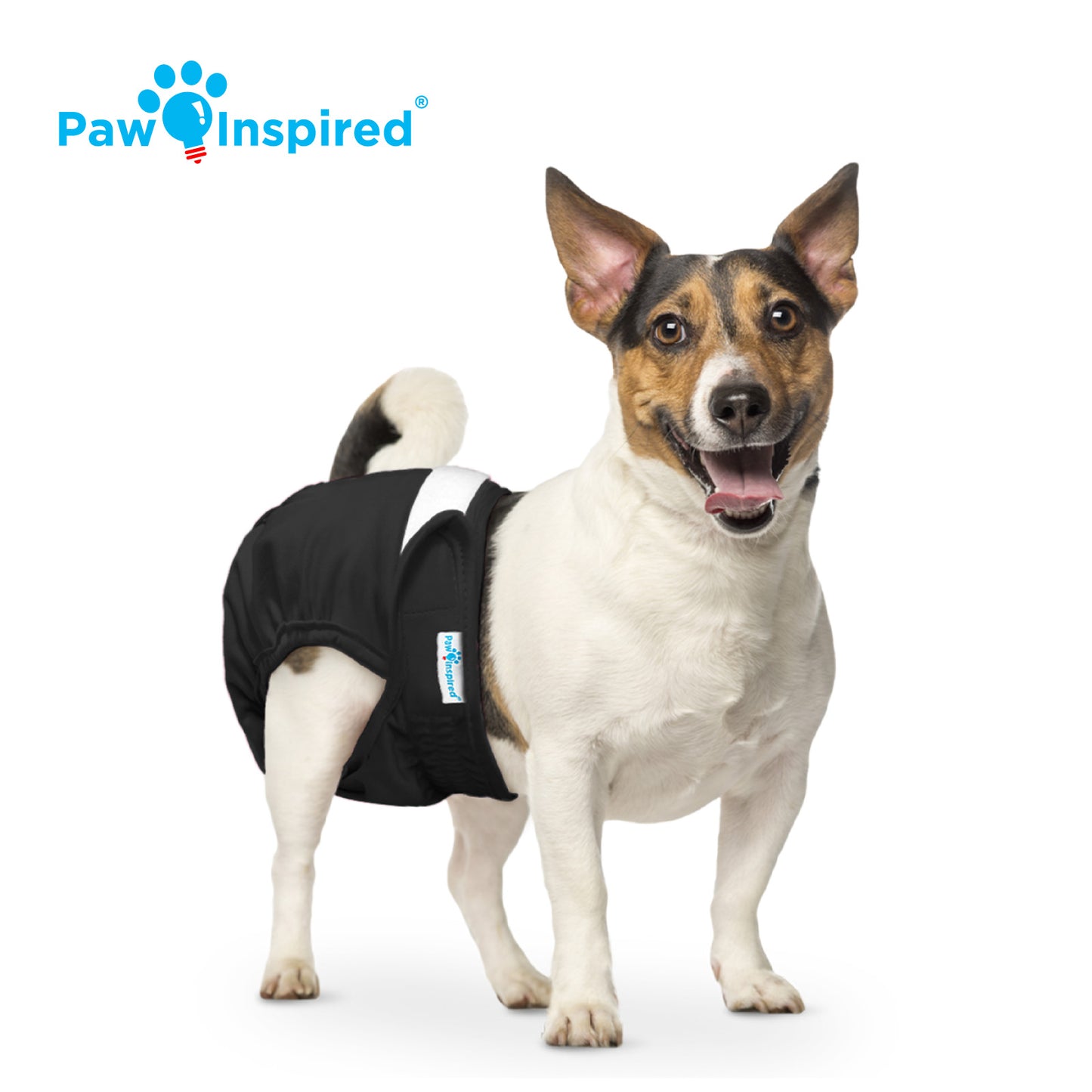 Washable Dog Diapers