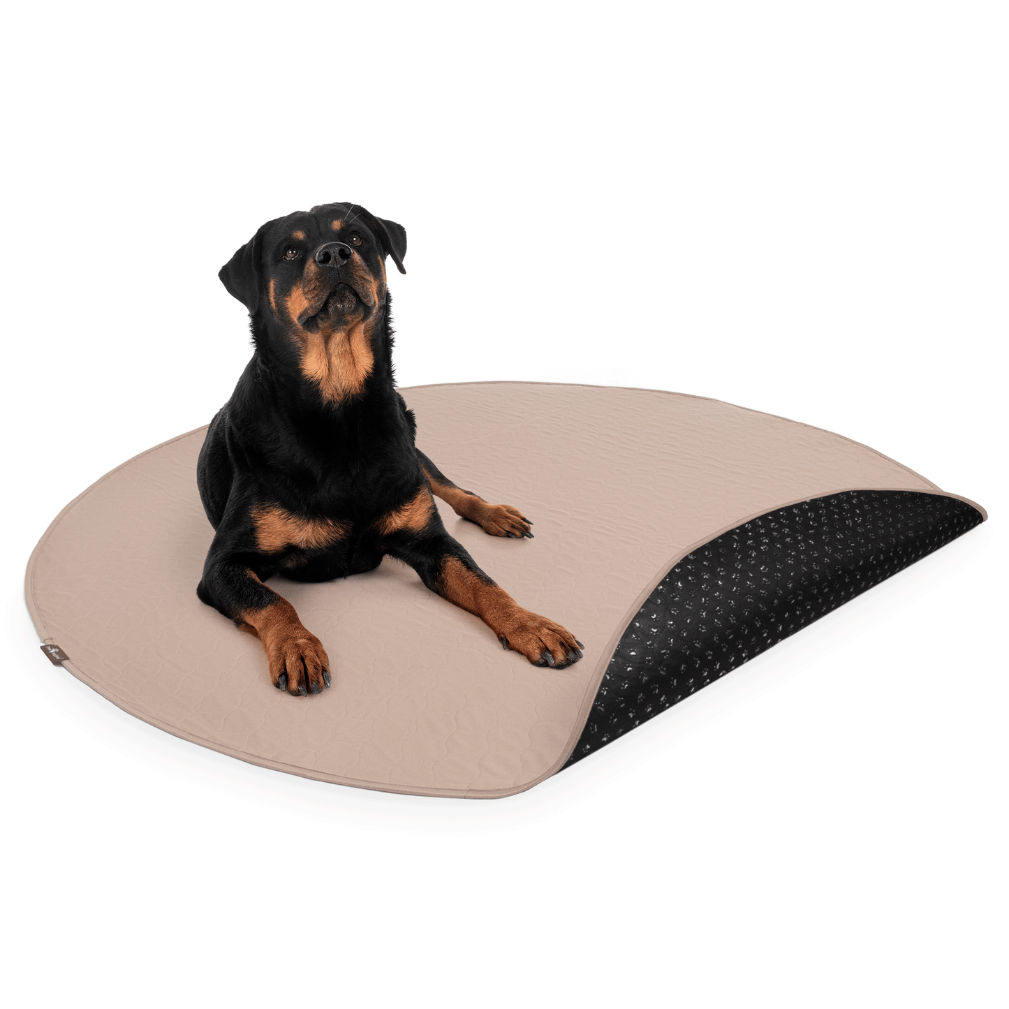 Round Washable Dog Pads