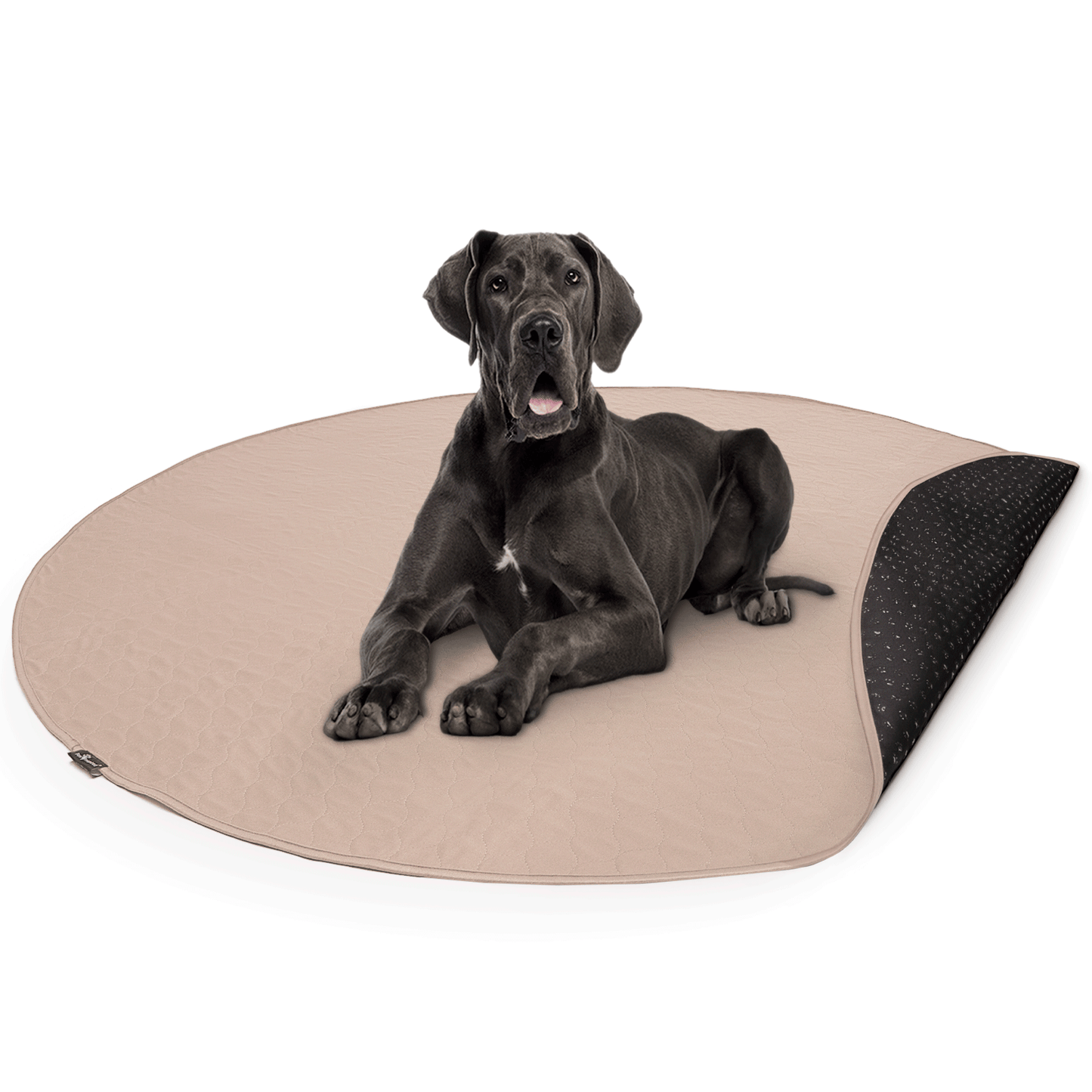 Round Washable Dog Pads