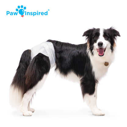 Disposable Dog Diapers