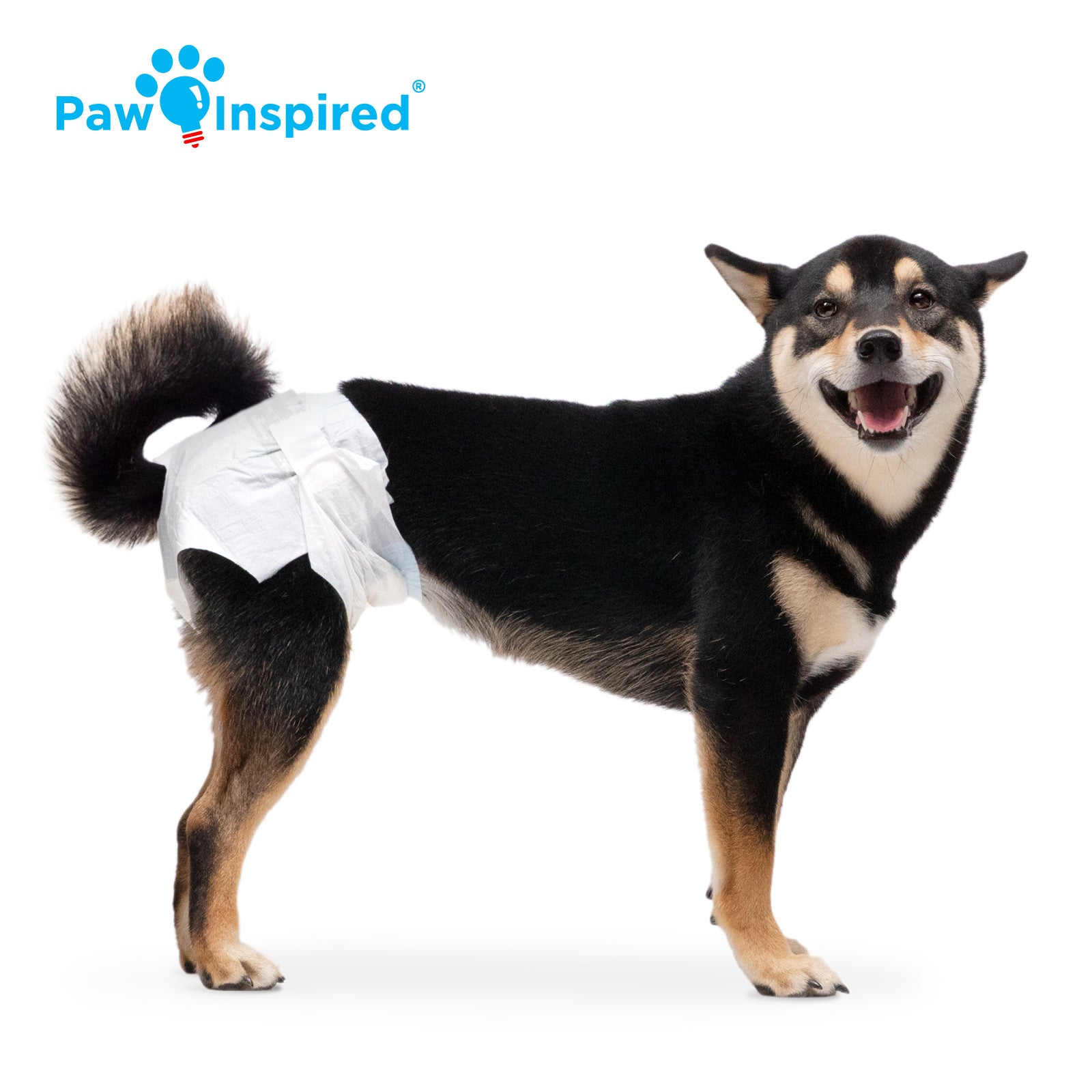 Male dog diapers petco hotsell