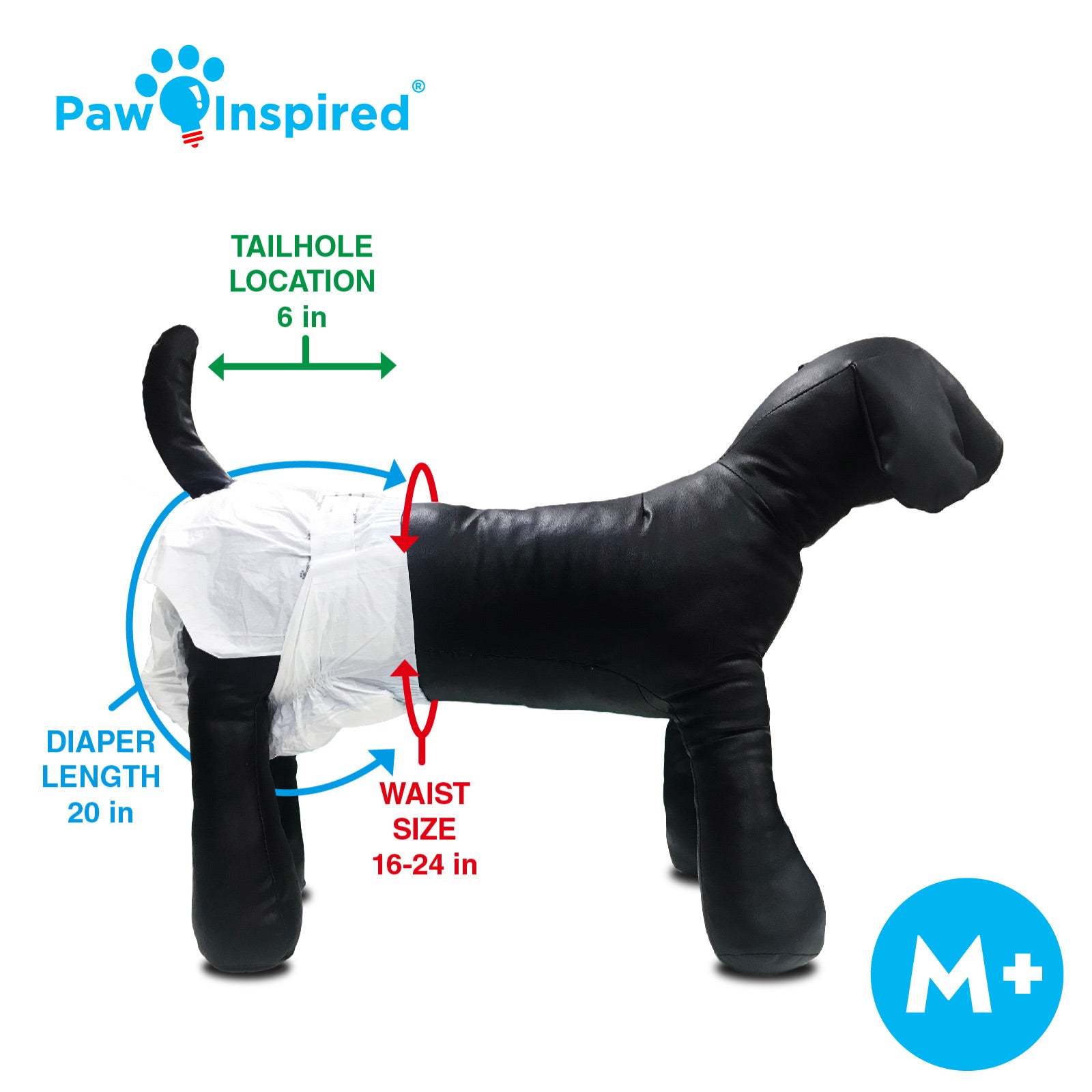 Disposable Dog Diapers Paw Inspired