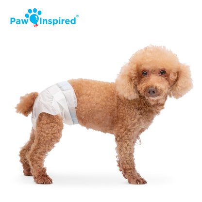 Disposable Dog Diapers