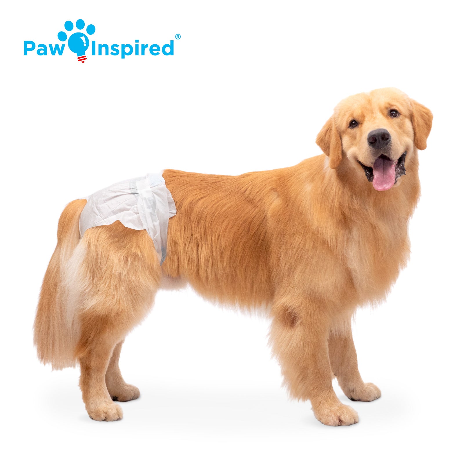 Disposable Dog Diapers Paw Inspired