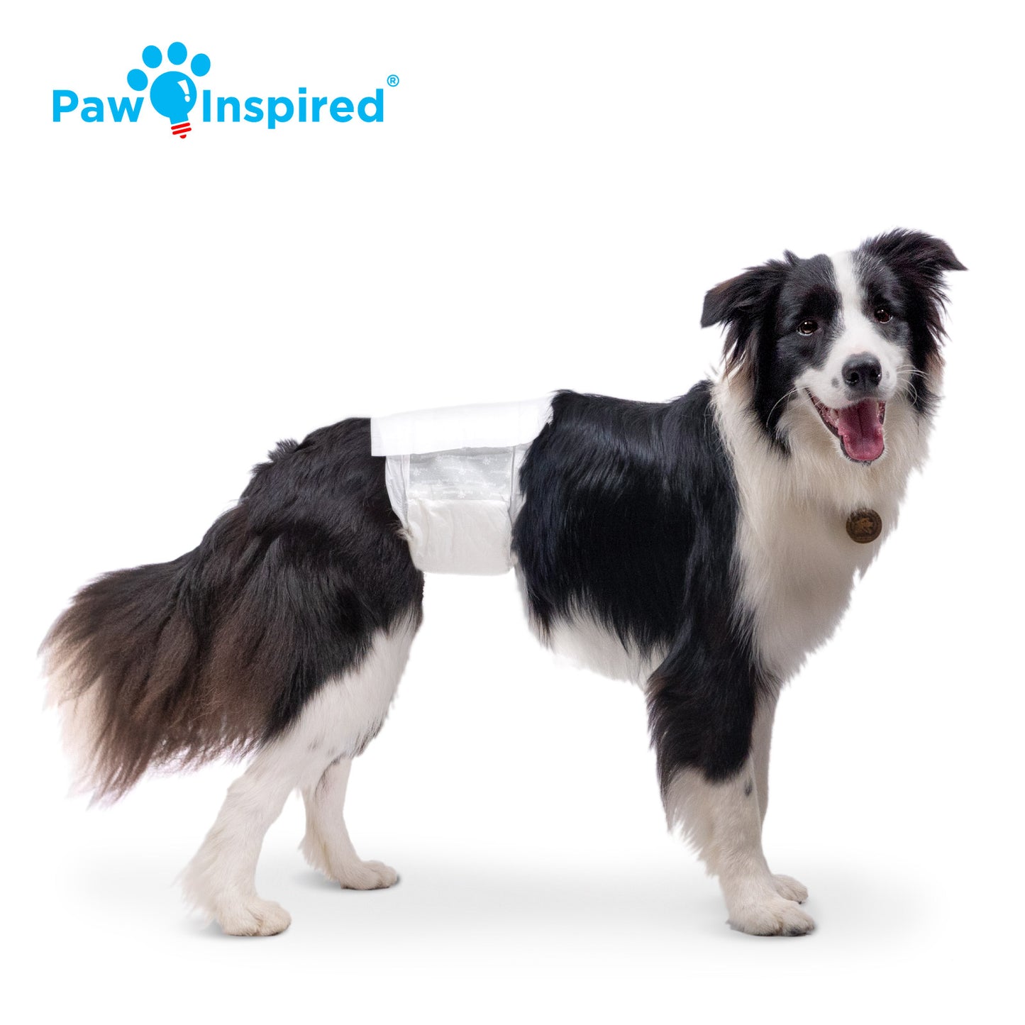 Disposable Male Wraps