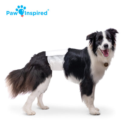 Disposable Male Wraps