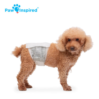 Disposable Male Wraps