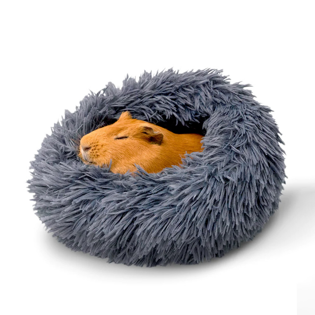 Burrow pet bed best sale