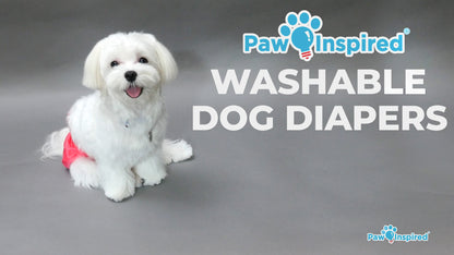 Promotional video for Paw Inspired® Washable Dog Diapers, showcasing leakproof, washable, eco-friendly diapers for small dogs with incontinence, training needs, or marking habits.