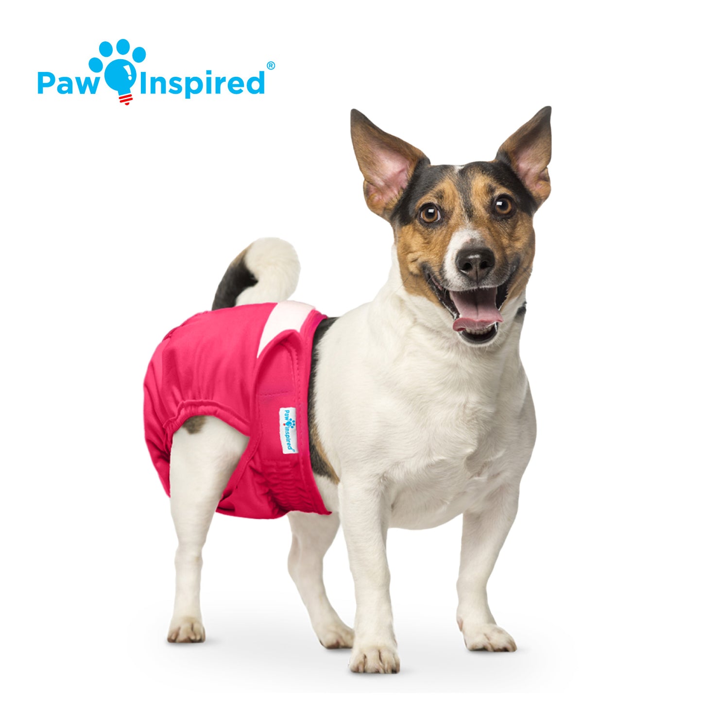 Washable Dog Diapers