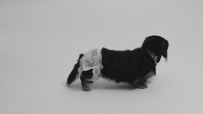 Suspenders for Washable and Disposable Dog Diapers