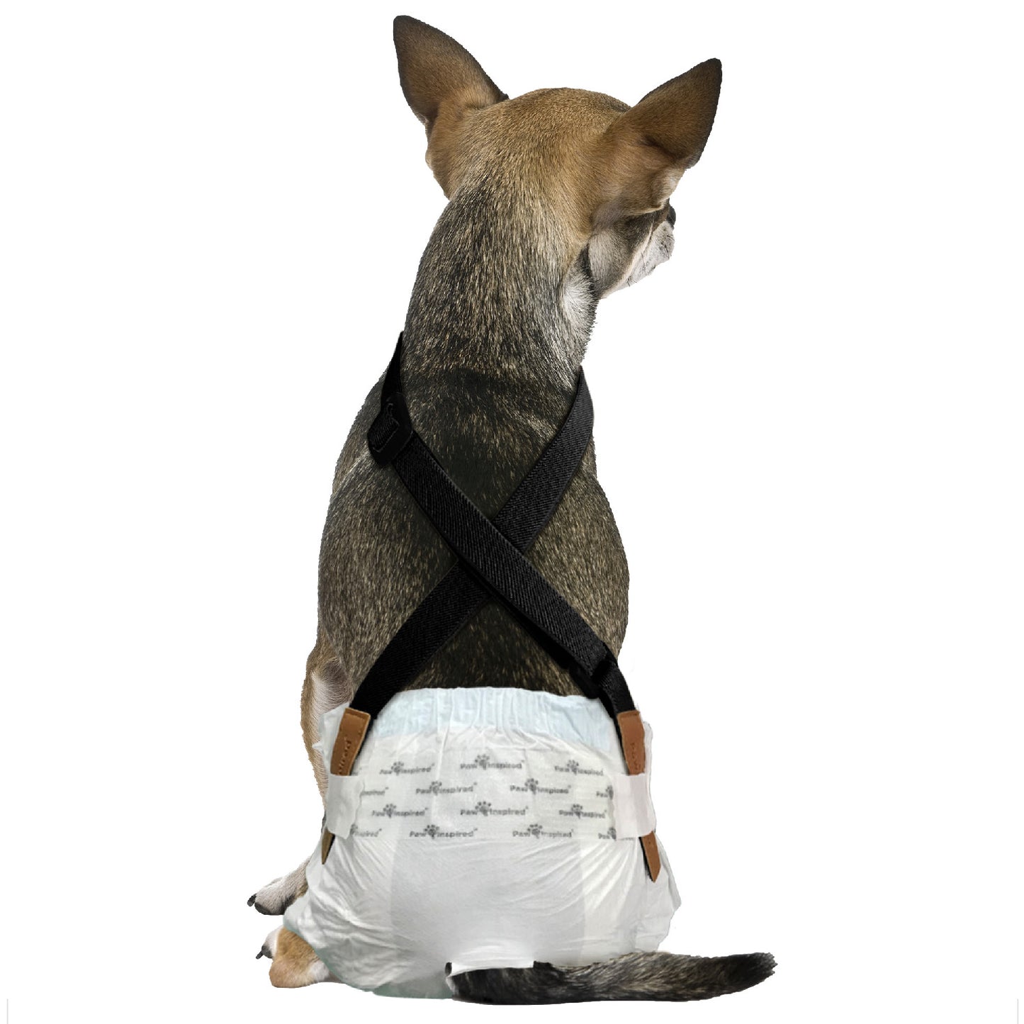 Suspenders for Washable and Disposable Dog Diapers
