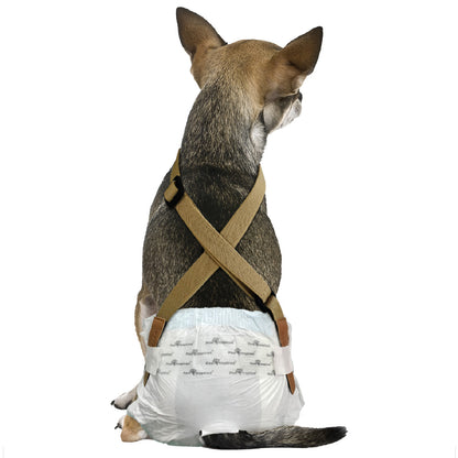 Suspenders for Washable and Disposable Dog Diapers