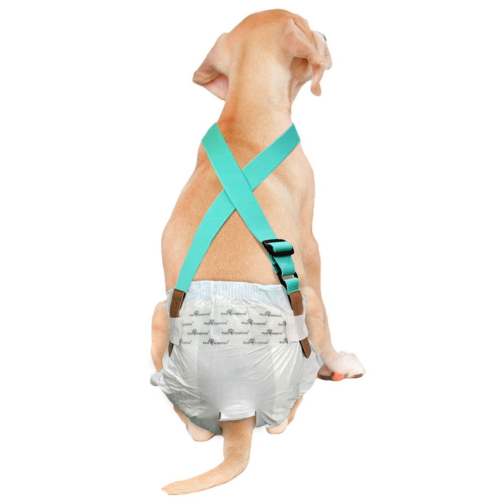 Suspenders for Washable and Disposable Dog Diapers