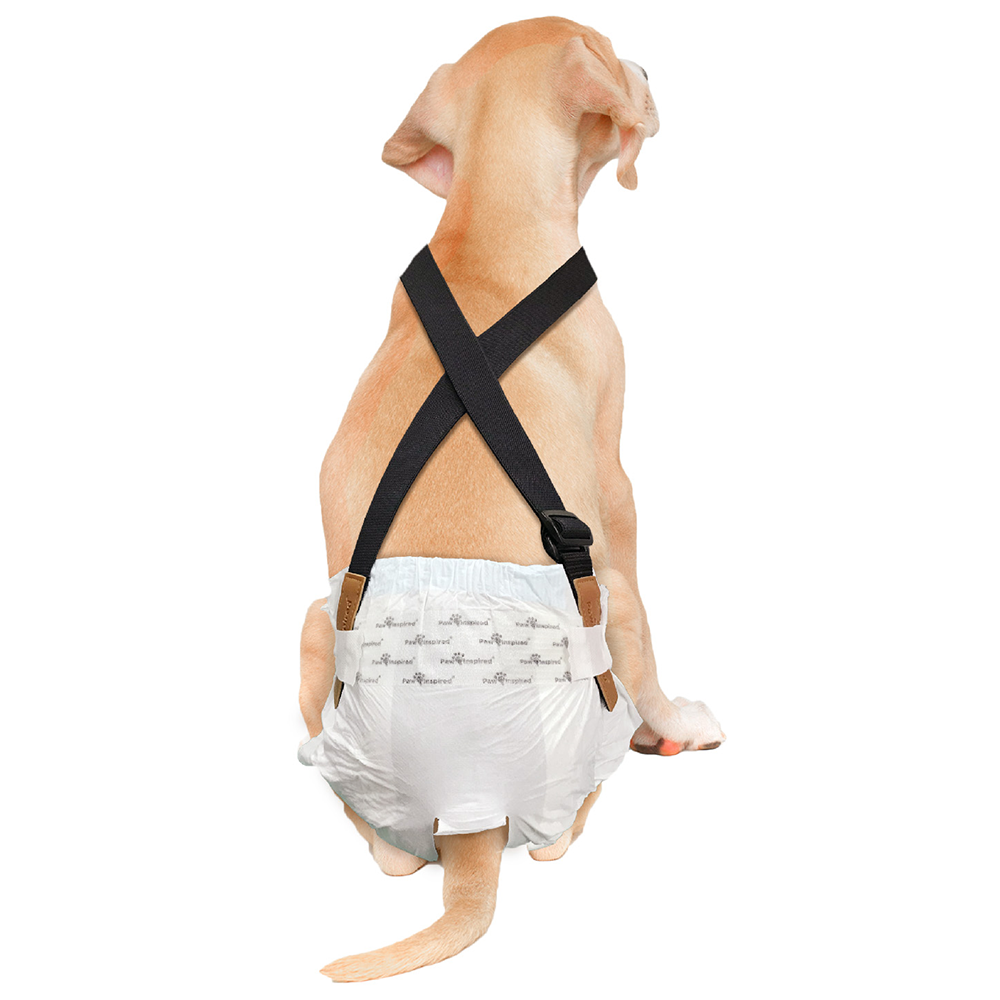 Suspenders for Washable and Disposable Dog Diapers