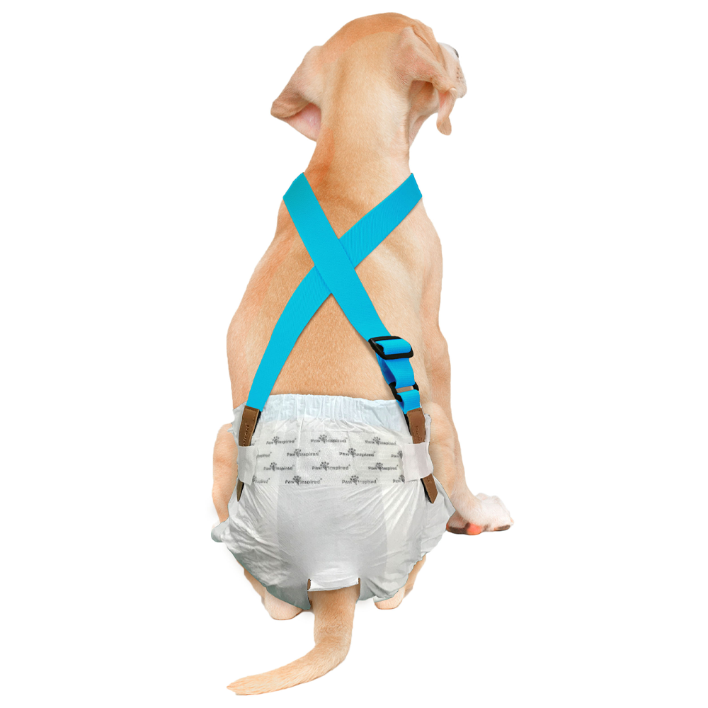 Suspenders for Washable and Disposable Dog Diapers