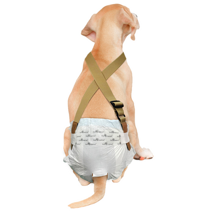 Suspenders for Washable and Disposable Dog Diapers