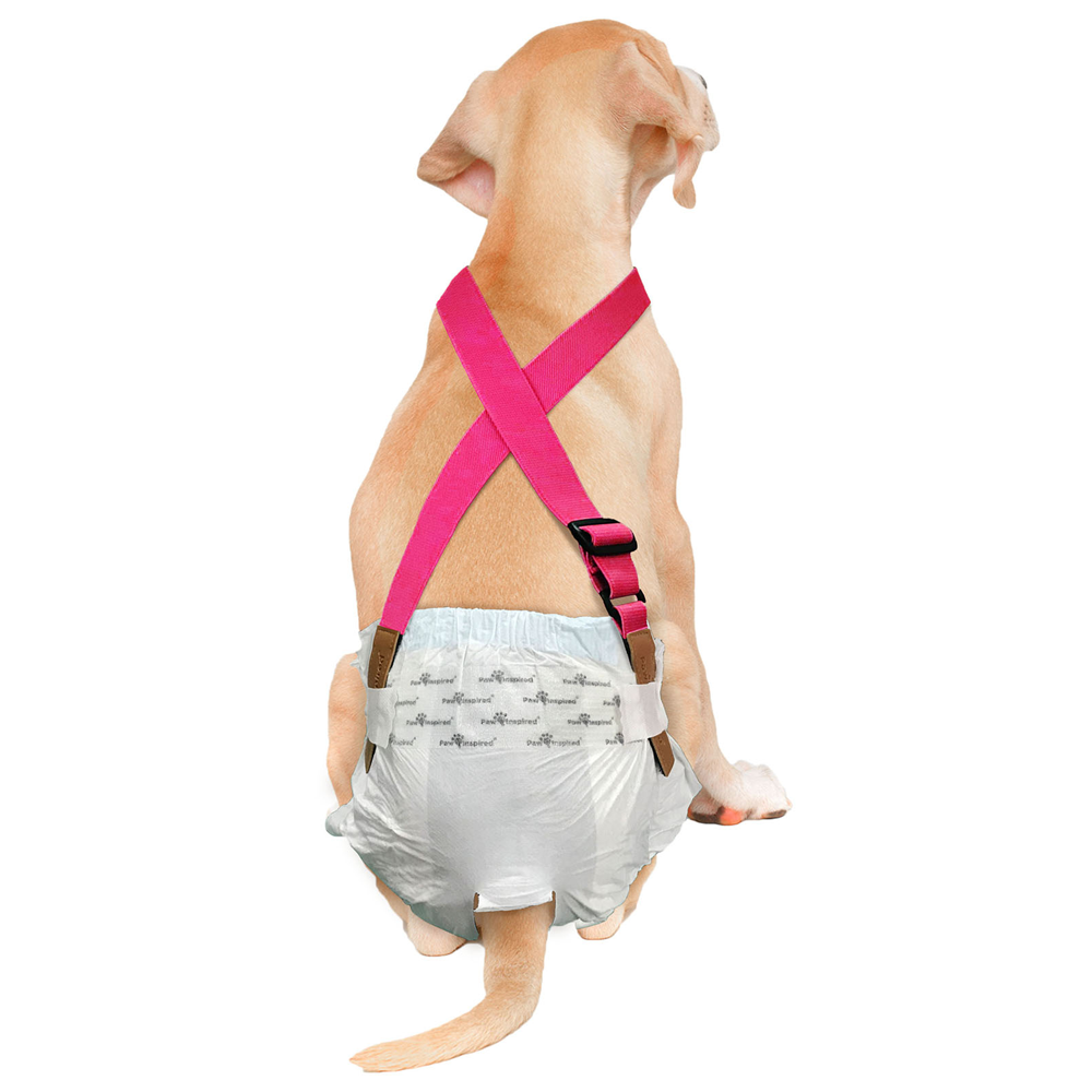 Suspenders for Washable and Disposable Dog Diapers