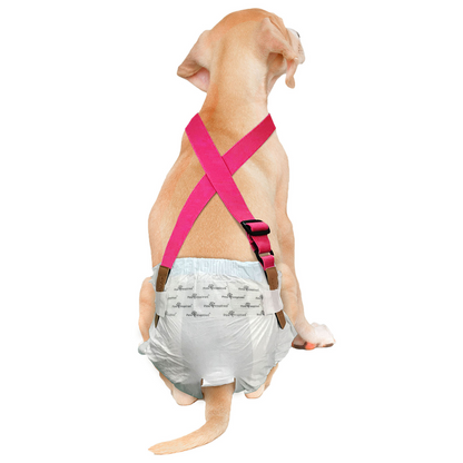 Suspenders for Washable and Disposable Dog Diapers