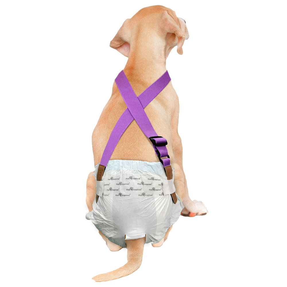 Paw Inspired Suspenders for Washable and Disposable Dog Diapers