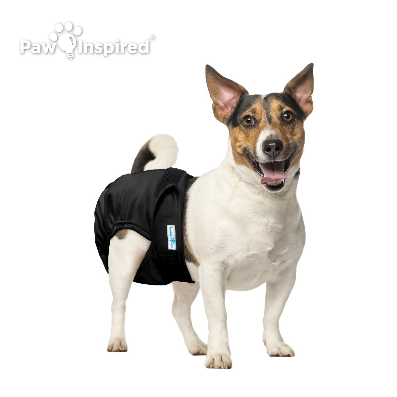 XYAA Reusable Washable Puppy Underwear Pets Supplies Female Dog Dog Pa –  KOL PET